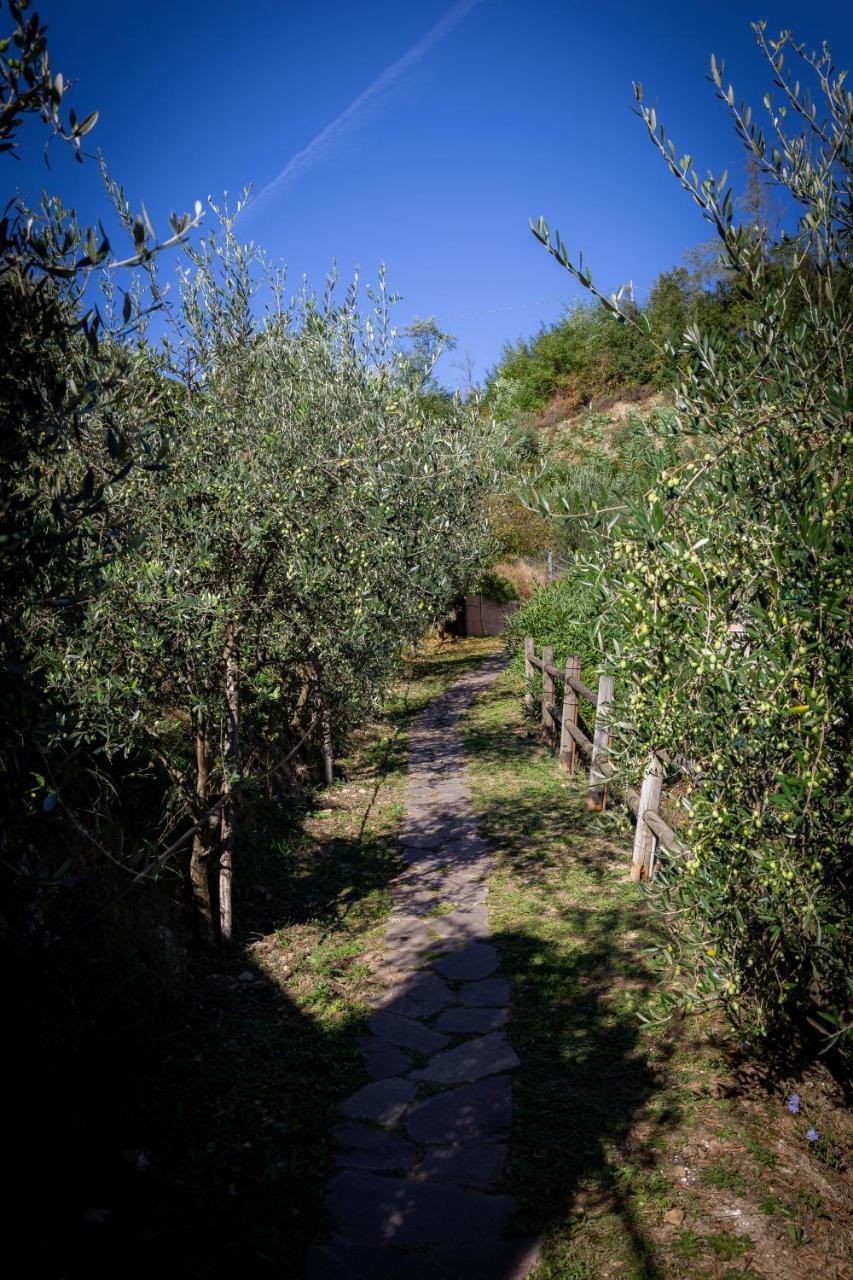 Olivium La Spezia Exterior foto
